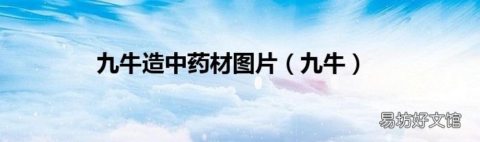 九牛 九牛造中药材图片
