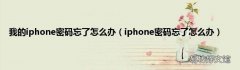 iphone密码忘了怎么办 我的iphone密码忘了怎么办