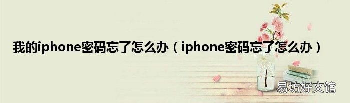 iphone密码忘了怎么办 我的iphone密码忘了怎么办