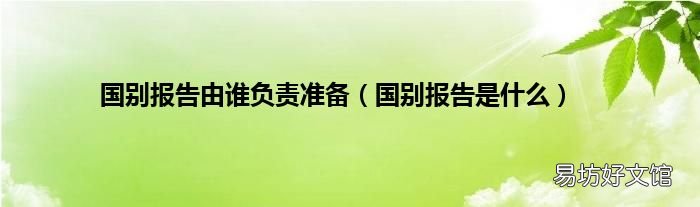 国别报告是什么 国别报告由谁负责准备