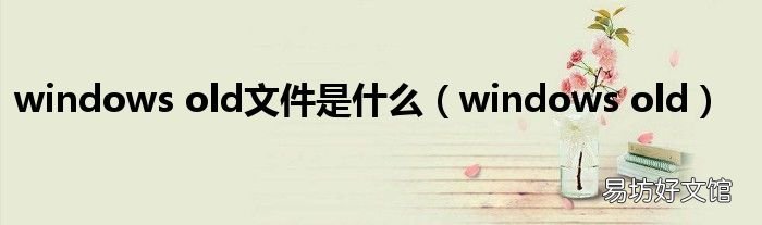 windows old windows old文件是什么