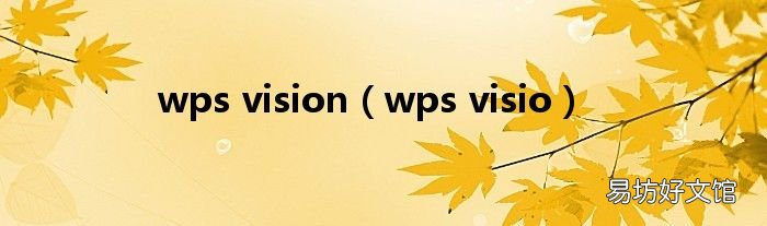 wps visio wps vision