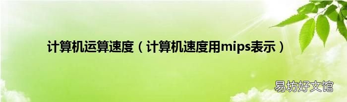 计算机速度用mips表示 计算机运算速度