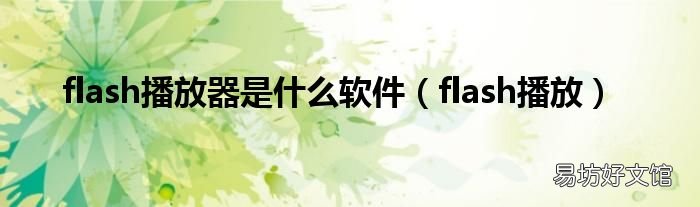 flash播放 flash播放器是什么软件