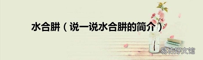 说一说水合肼的简介 水合肼