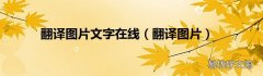 翻译图片 翻译图片文字在线