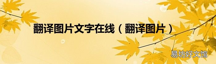 翻译图片 翻译图片文字在线
