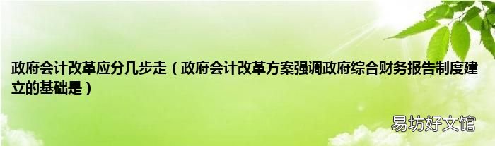 政府会计改革方案强调政府综合财务报告制度建立的基础是 政府会计改革应分几步走