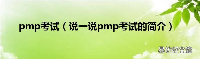 说一说pmp考试的简介 pmp考试