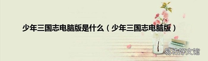 少年三国志电脑版 少年三国志电脑版是什么