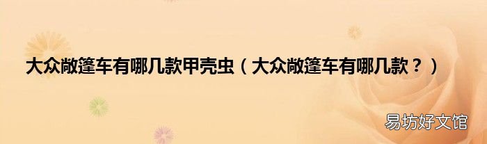 大众敞篷车有哪几款? 大众敞篷车有哪几款甲壳虫
