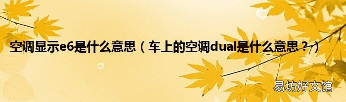 车上的空调dual是什么意思？ 空调显示e6是什么意思
