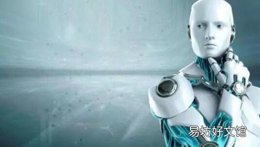 首席执行官概述了数据集成和作为转型合作伙伴的作用