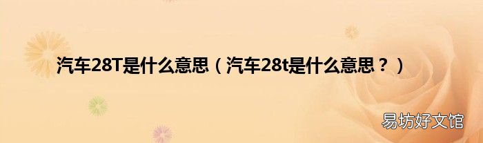 汽车28t是什么意思? 汽车28T是什么意思