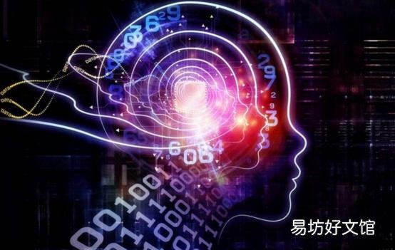 vHive发布用于起重机检查的企业无人机Hive软件解决方案