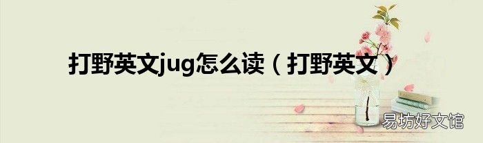打野英文 打野英文jug怎么读