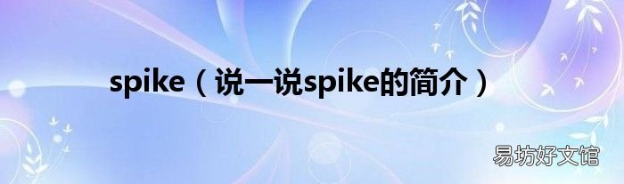说一说spike的简介 spike