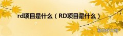 RD项目是什么 rd项目是什么