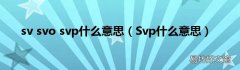 Svp什么意思 sv svo svp什么意思