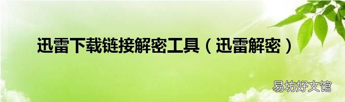 迅雷解密 迅雷下载链接解密工具