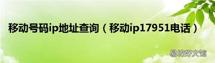 移动ip17951电话 移动号码ip地址查询