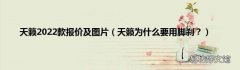天籁为什么要用脚刹？ 天籁2022款报价及图片