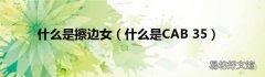 什么是CAB 35 什么是擦边女