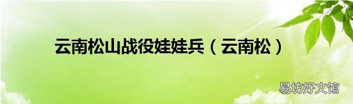 云南松 云南松山战役娃娃兵