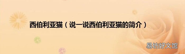 说一说西伯利亚猫的简介 西伯利亚猫