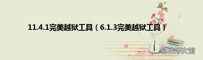 6.1.3完美越狱工具 11.4.1完美越狱工具