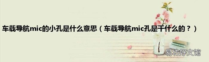车载导航mic孔是干什么的? 车载导航mic的小孔是什么意思