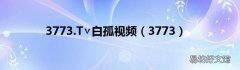 3773 3773.T∨白孤视频