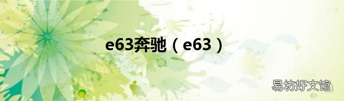 e63 e63奔驰