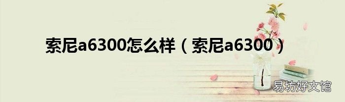索尼a6300 索尼a6300怎么样