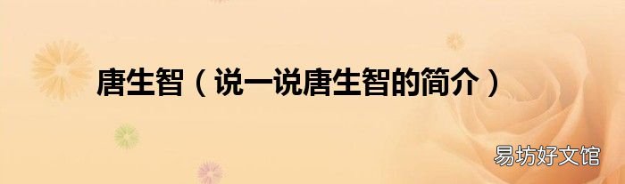 说一说唐生智的简介 唐生智