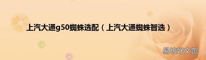上汽大通蜘蛛智选 上汽大通g50蜘蛛选配