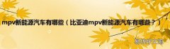 比亚迪mpv新能源汽车有哪些？ mpv新能源汽车有哪些