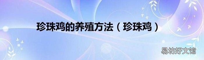 珍珠鸡 珍珠鸡的养殖方法