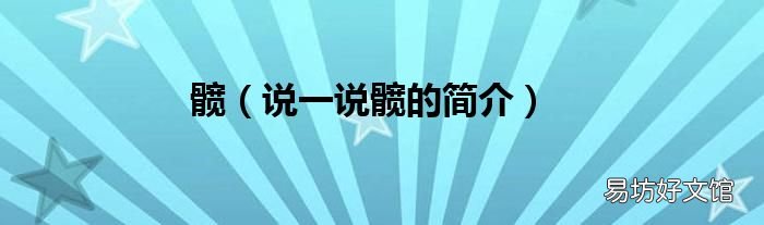 说一说髋的简介 髋