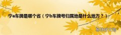 宁b车牌号归属地是什么地方？ 宁a车牌是哪个省