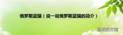 说一说俄罗斯蓝猫的简介 俄罗斯蓝猫