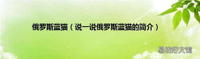 说一说俄罗斯蓝猫的简介 俄罗斯蓝猫
