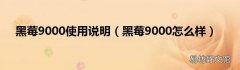 黑莓9000怎么样 黑莓9000使用说明
