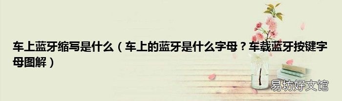 车上的蓝牙是什么字母？车载蓝牙按键字母图解 车上蓝牙缩写是什么