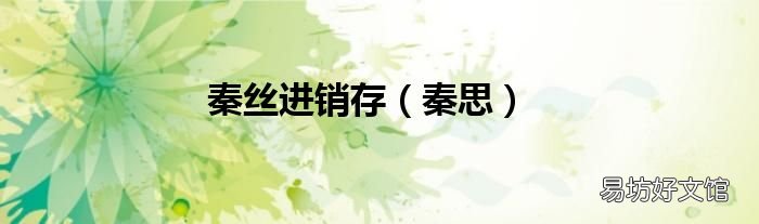 秦思 秦丝进销存