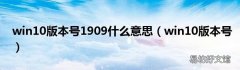 win10版本号 win10版本号1909什么意思