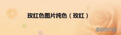 玫红 玫红色图片纯色