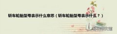 轿车轮胎型号表示什么？ 轿车轮胎型号表示什么意思