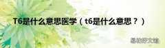 t6是什么意思？ T6是什么意思医学