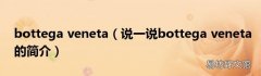 说一说bottega veneta的简介 bottega veneta